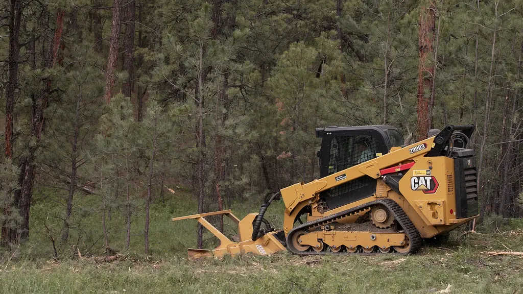 Compact track loader with a forestry mulching head working at the edge of a cedar and pine stand